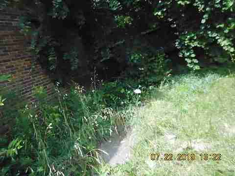 10410 Crocuslawn (5)_m.jpg